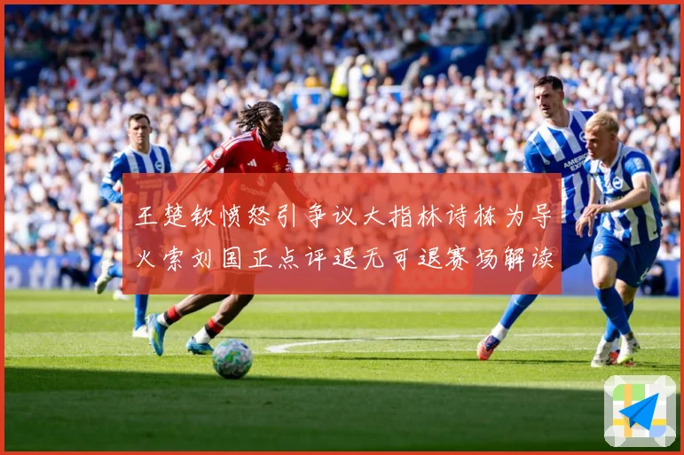 王楚钦愤怒引争议大指林诗栋为导火索刘国正点评退无可退赛场解读-深度解析