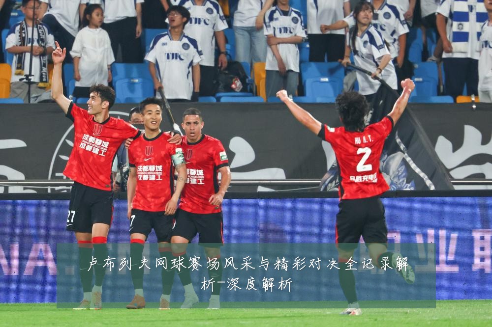 卢布列夫网球赛场风采与精彩对决全记录解析-深度解析